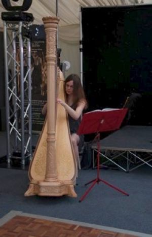 May Ball Harpist